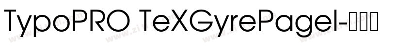 TypoPRO TeXGyrePagel字体转换